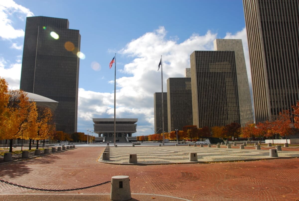 Albany landscape