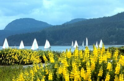 Anacortes, الولايات المتحدة - Flight deals from OTS airport