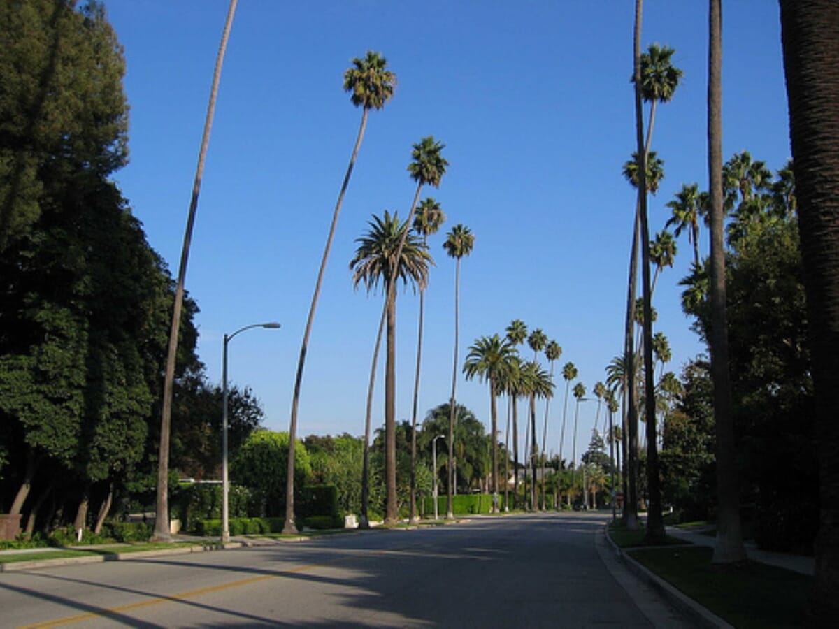 Beverly Hills landscape