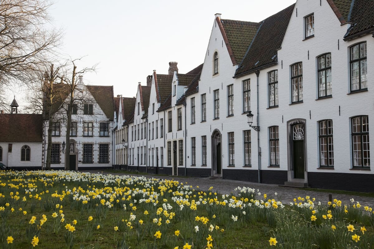 Bruges landscape