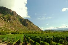 Generate a random place in Cafayate