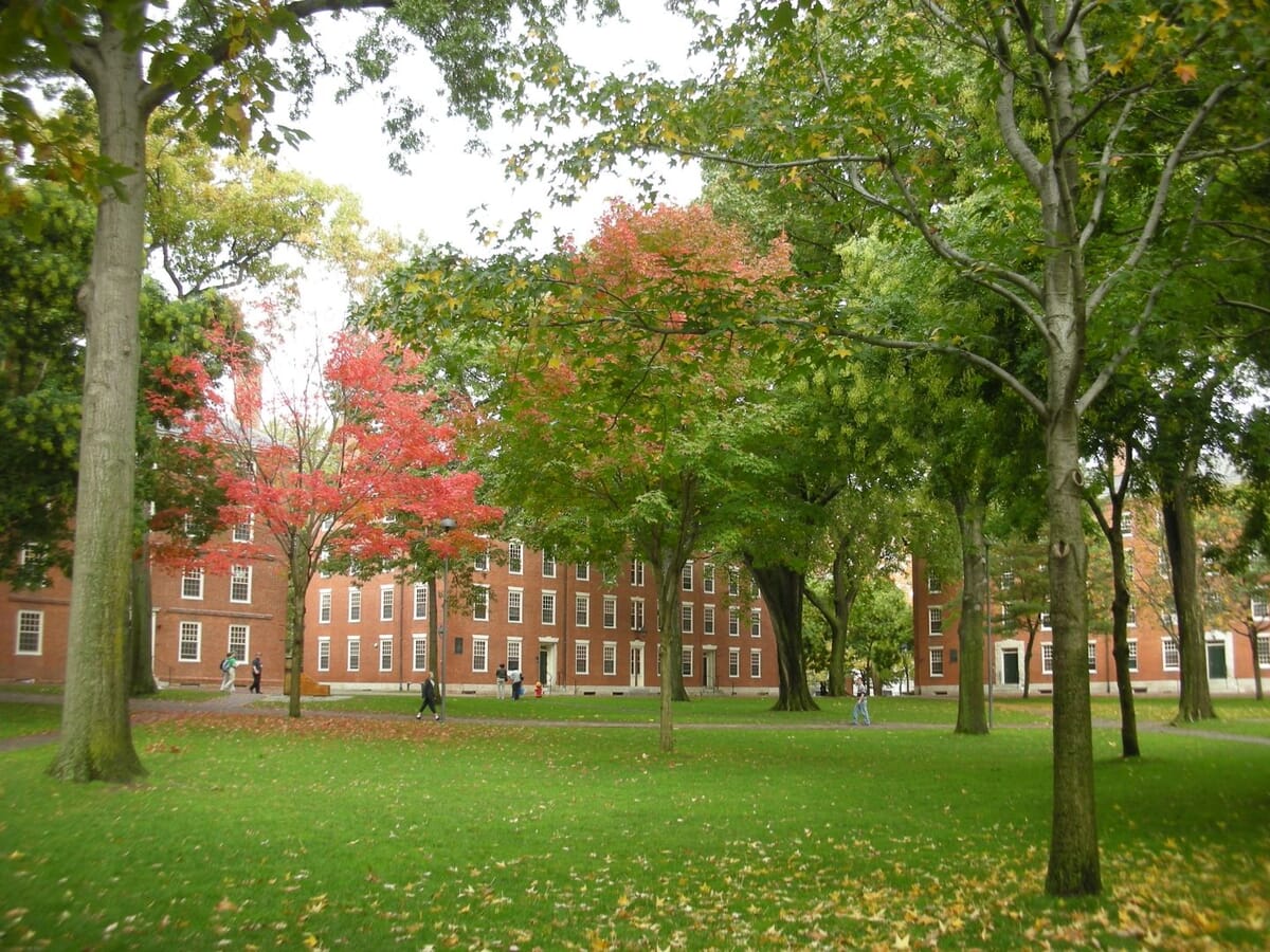 Cambridge landscape