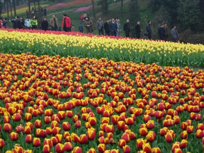 Chengdu, China - Flight deals from CTU airport