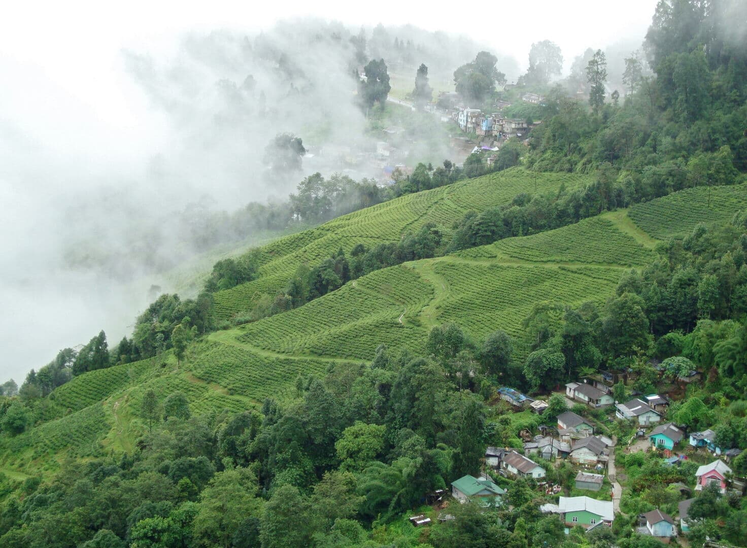 Darjeeling Photo high res