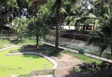 Generate a random place in Davao