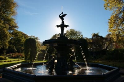 Dunedin, New Zealand - Flight deals from DUD airport