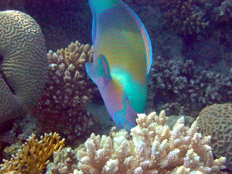 Eilat