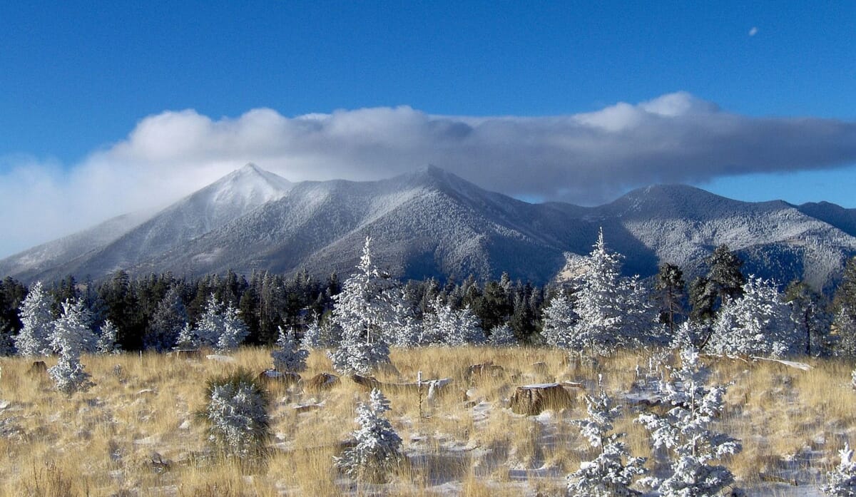 Flagstaff landscape