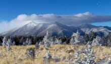 Generate a random place in Flagstaff