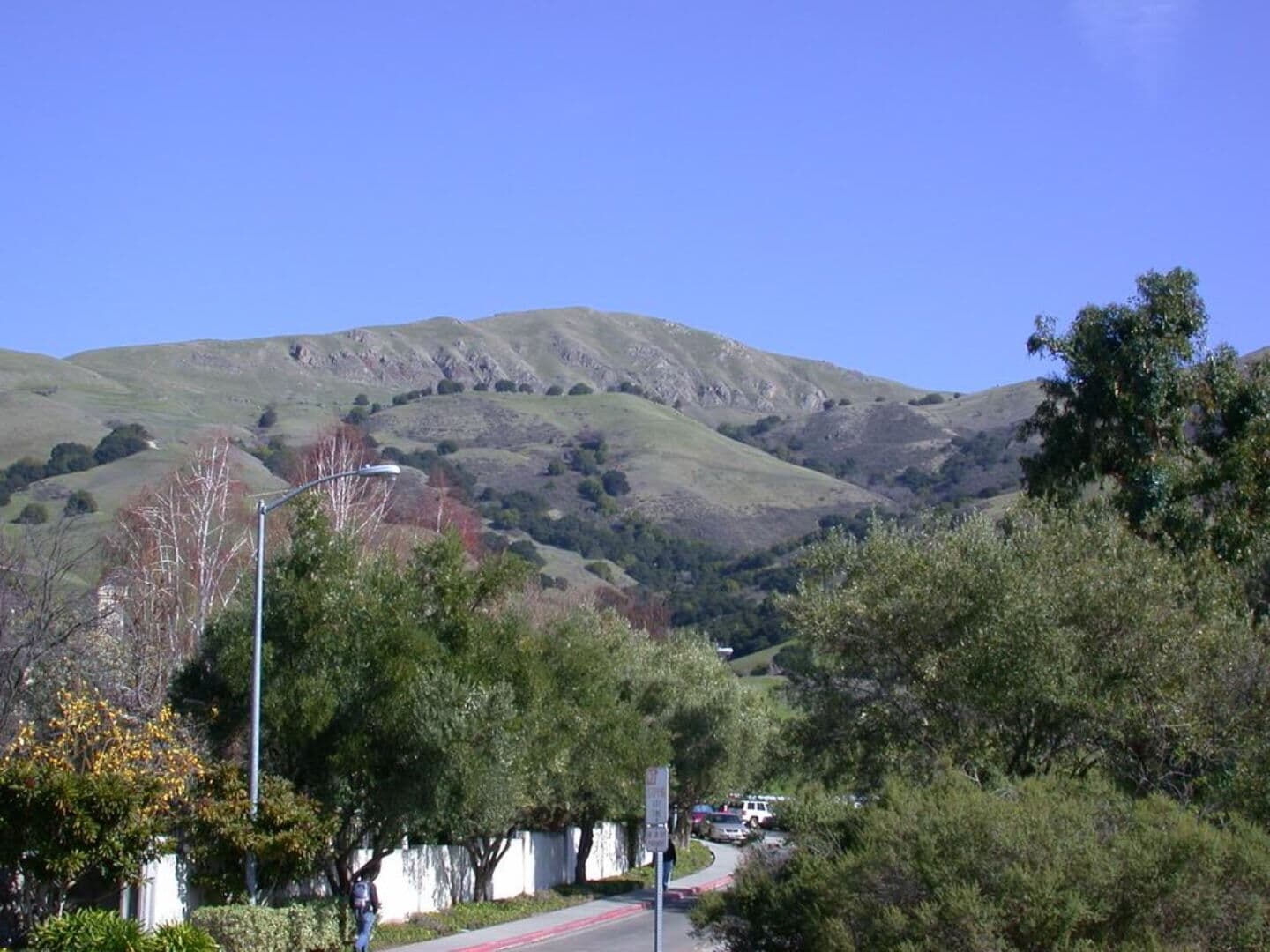 Fremont Photo high res