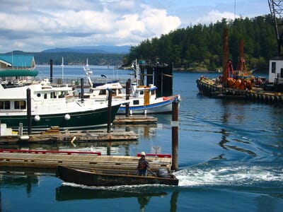 Friday Harbor, الولايات المتحدة - Flight deals from FRD airport