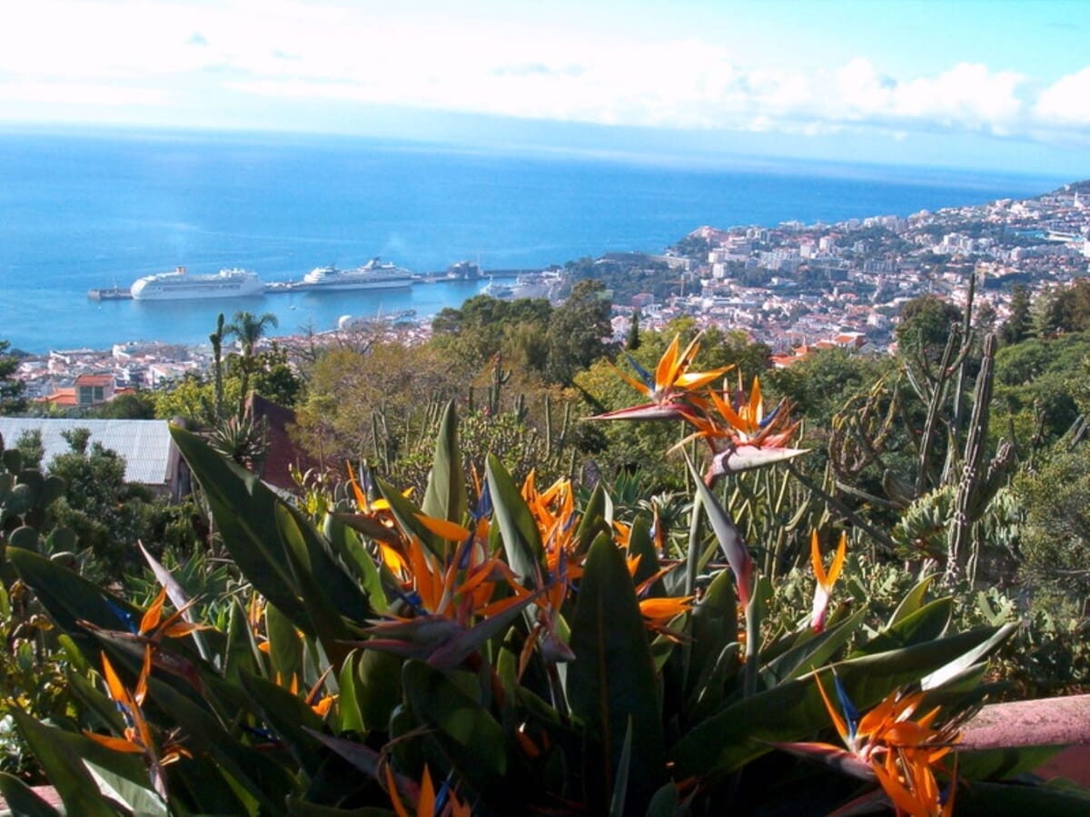 Funchal landscape