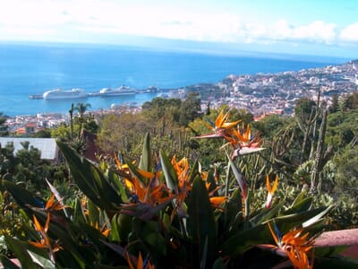 Funchal, Portugal - Flight deals from FNC airport