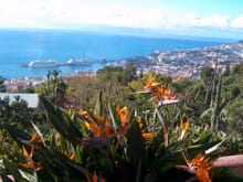 Generate a random place in Funchal