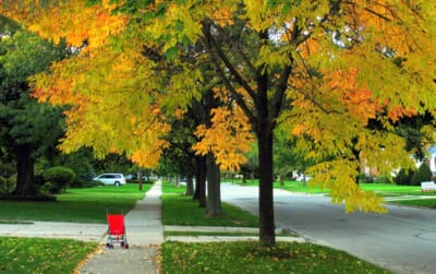 Kenosha, الولايات المتحدة - Flight deals from ENW airport