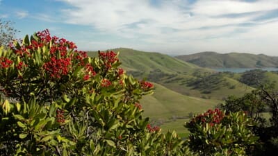 Livermore, الولايات المتحدة - Flight deals from LVK airport