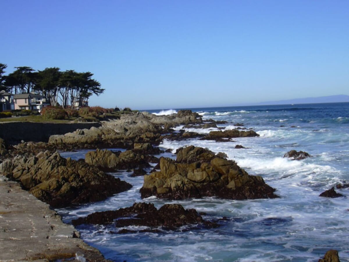 Monterey landscape