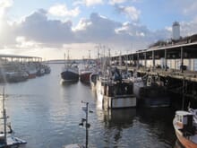 Generate a random place in North Shields