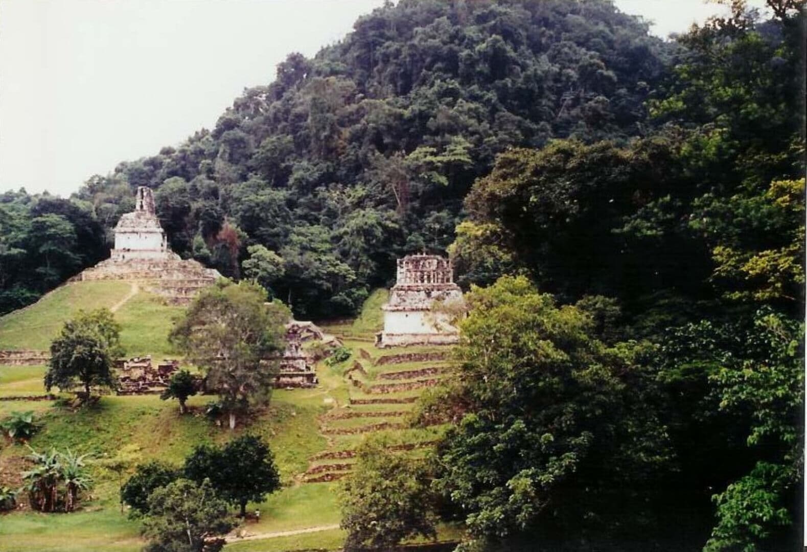 Palenque photo