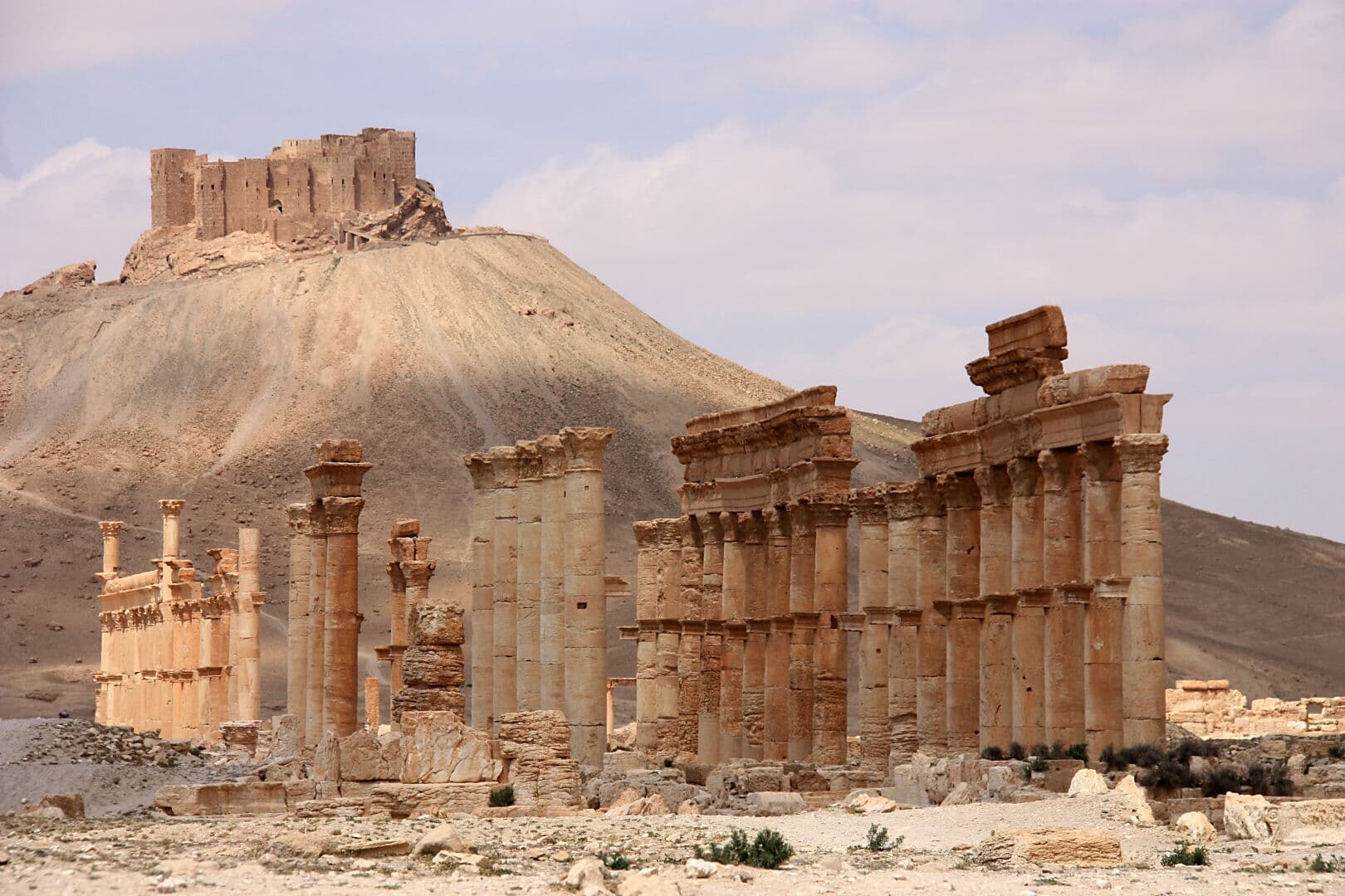 Palmyra photo