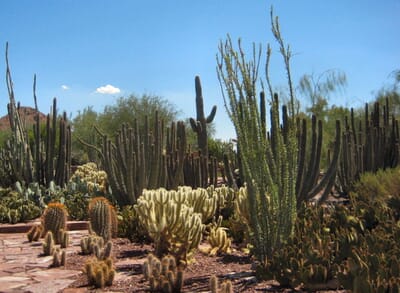 Phoenix, الولايات المتحدة - Flight deals from PHX airport