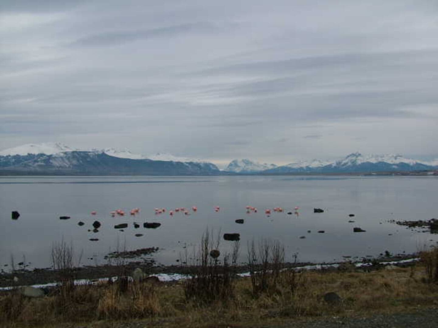 Puerto Natales Photo high res