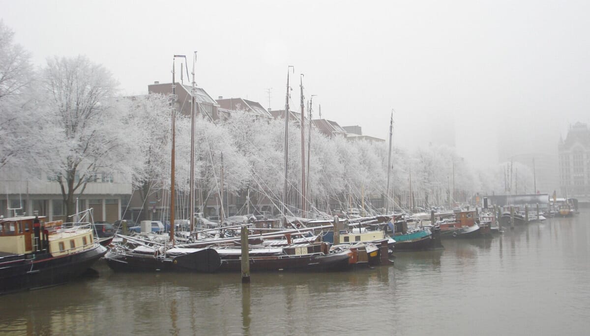 Rotterdam landscape
