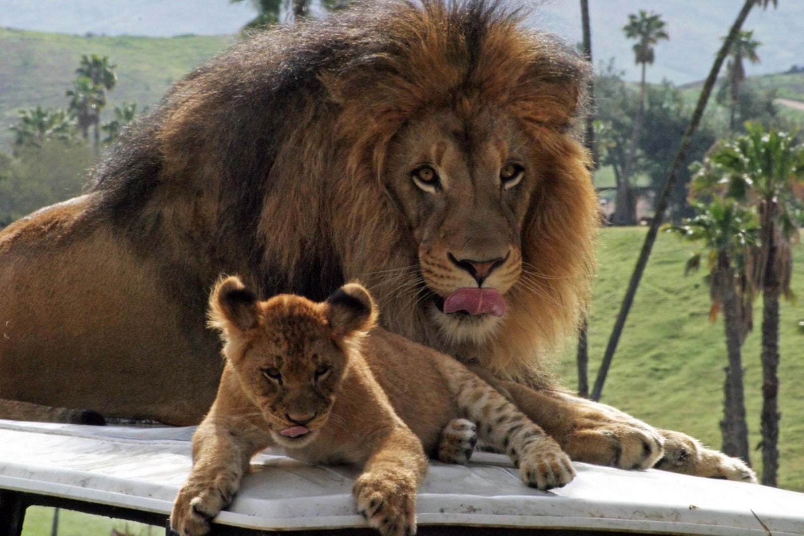 Visit San Diego, United States