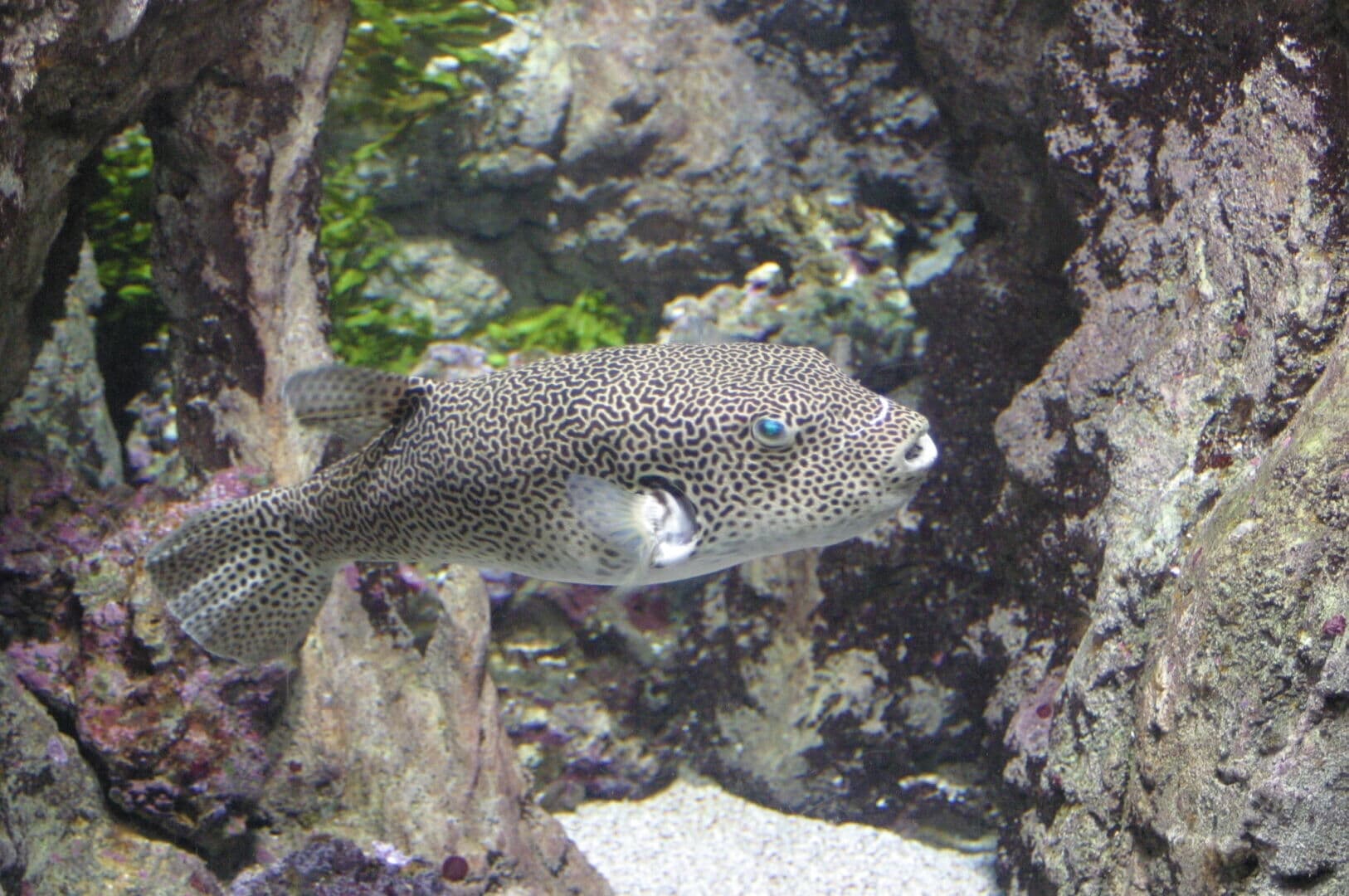 Shimonoseki photo