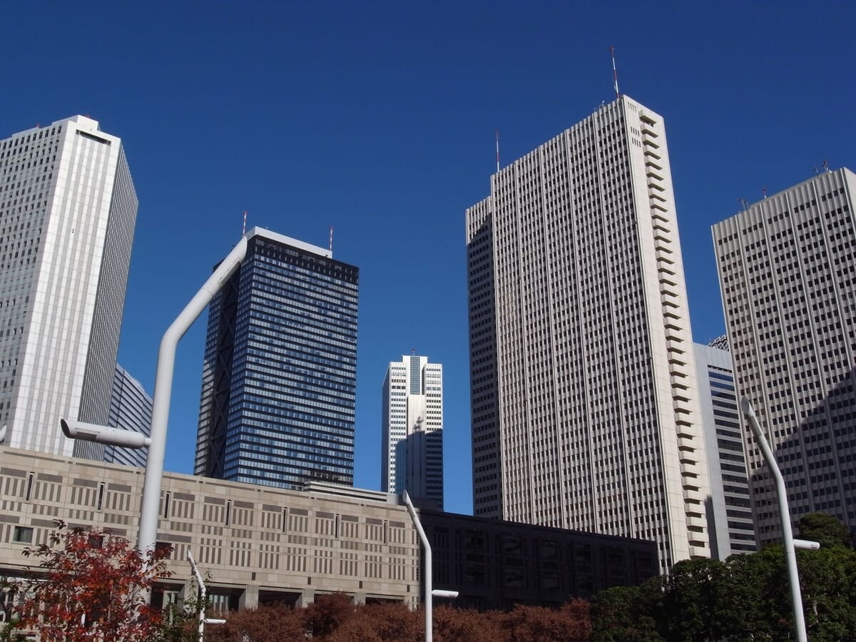 Tokyo/Shinjuku landscape