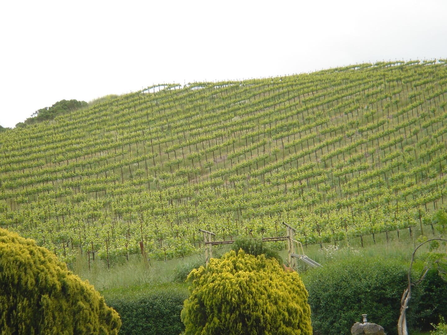 Sonoma Photo high res