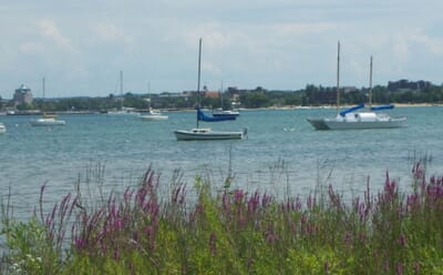 Traverse City, الولايات المتحدة - Flight deals from TVC airport