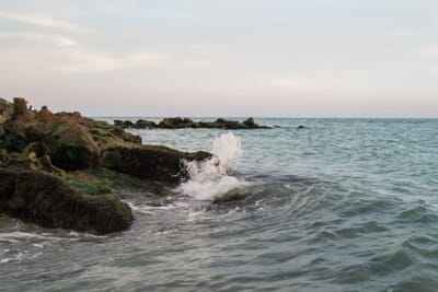 Venice, الولايات المتحدة - Flight deals from VNC airport