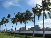 Generate a random place in West Palm Beach