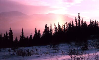 Whitehorse, Canada - Flight deals from YXY airport