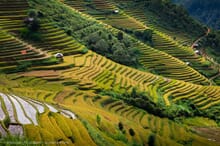 Generate a random place in Vietnam