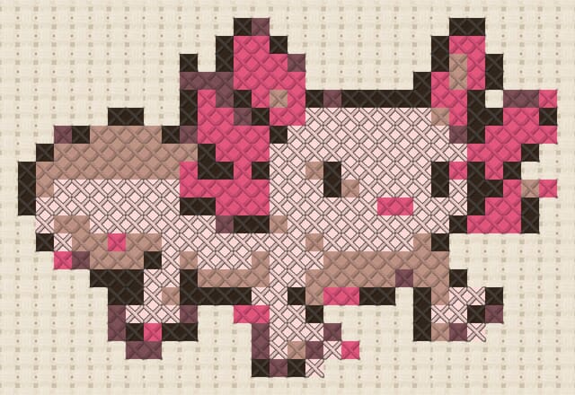 Axolotl finished in cross stitch on Aida cloth