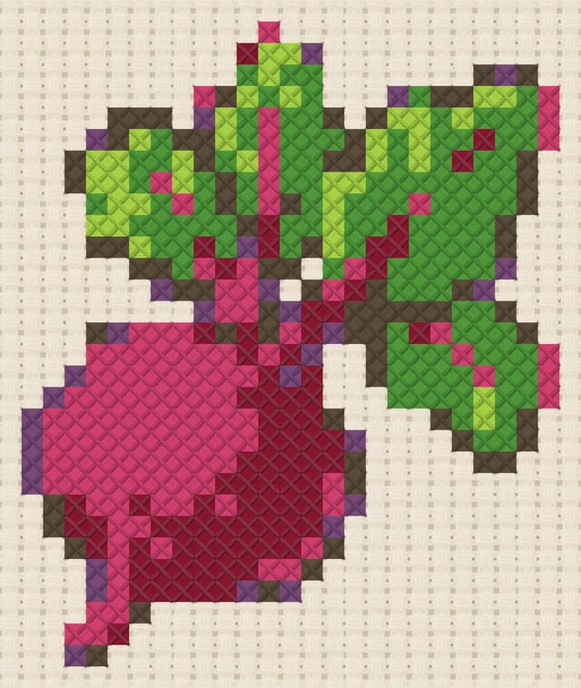 Beetroot finished in cross stitch on Aida cloth