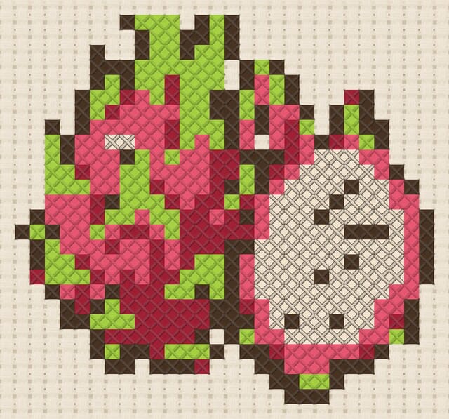 Dragon fruit finished in cross stitch on Aida cloth