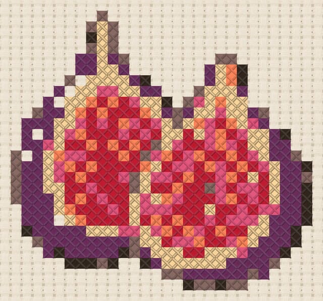 Fig halves finished in cross stitch on Aida cloth