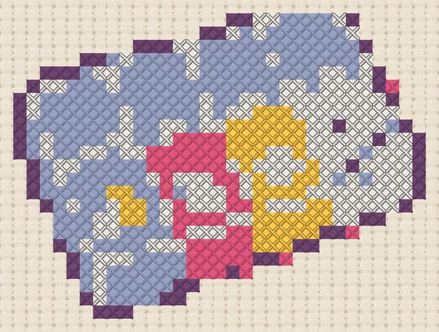 Pill organizer finished in cross stitch on Aida cloth