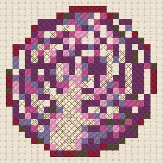 Purple cabbage finished in cross stitch on Aida cloth