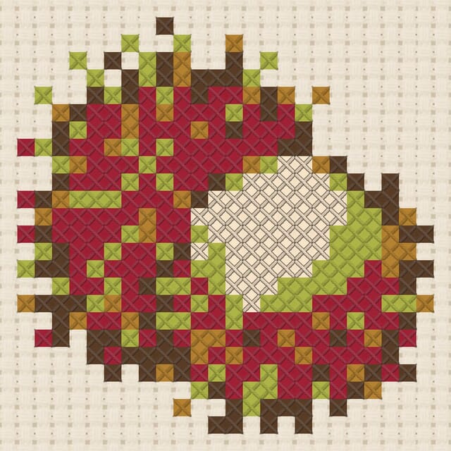 Rambutan finished in cross stitch on Aida cloth