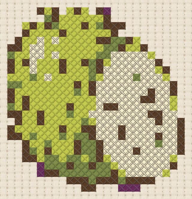 Soursop finished in cross stitch on Aida cloth
