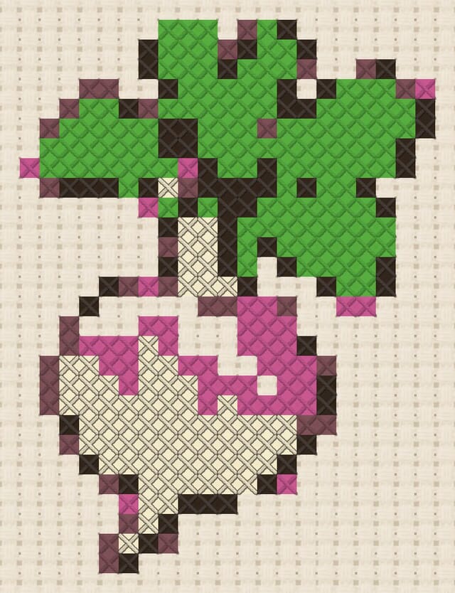 Turnip finished in cross stitch on Aida cloth